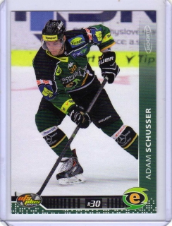 OFS 2013-2014 # 310 Schusser Adam - K.Vary