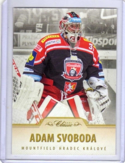OFS 2015-2016 # 131 Svoboda Adam (G) - Hradec Kr.