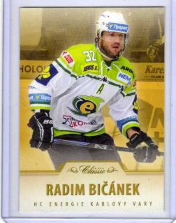 OFS 2015-2016 HOBBY x/99 # 189 Bičánek Radim - K.Vary