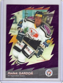 OFS 2000-2001 STARS Fialová č.29 Gardoň Radek - Kladno
