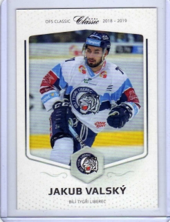 OFS 2018-2019 # 378 Valský Jakub - Liberec