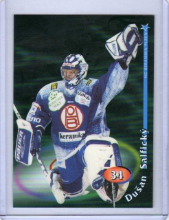 OFS 1998-1999 č.34 Salfický Dušan (G) - Plzeň