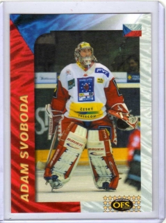 OFS 2003-2004 Utkání Hvězd # H23 Svoboda Adam (G) - CZ