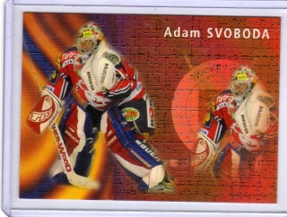 OFS 2003-2004 Insert B # B3 Svoboda Adam (G) - Pardubice