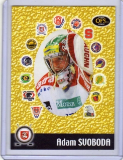 OFS 2002-2003 DUO # D-10 Svoboda Adam (G) / Vyhlídal Michael - Pardubice