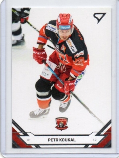 SportZoo ELH 2021-2022 # 83 Koukal Petr - Hradec Kr.