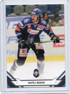 SportZoo ELH 2021-2022 # 260 Beran Matěj - Kladno