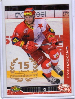 OFS 2013-2014 x/20 č.249 Skokan Dávid - Slavia
