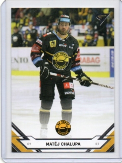 SportZoo ELH 2021-2022 # 350 Chalupa Matěj - Litvínov
