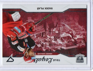 SportZoo ELH 2021-2022 TRUE LOYALTY # TL-12 Pilař Radek - Hradec Kr.