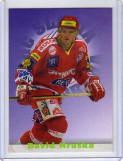 OFS 2003-2004 HVĚZDY TÝMŮ # H25 Hruška David - Slavia