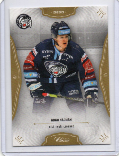 OFS 2020-2021 # 208 Najman Adam - Liberec