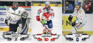 Set SportZoo 2023-2024 série 2 (# 253-359)