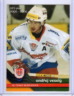 OFS 2005-2006 č.305 Veselý Ondřej - Č.Budějovice