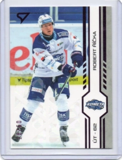 SportZoo ELH 2024-2025 Play Off Purple Iceberg x/60 # 399 Říčka Robert - Brno