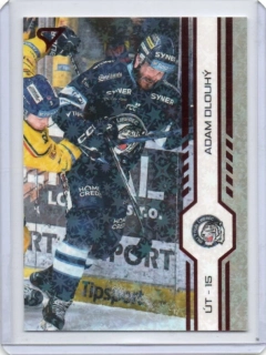 SportZoo ELH 2024-2025 Play Off RED Sparks # 407 Dlouhý Adam - Liberec