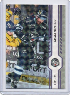 SportZoo ELH 2024-2025 Play Off PUCK Marks # 407 Dlouhý Adam - Liberec