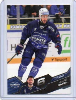 SportZoo ELH 2025-2026 I.série Base # 8 Cingel Lukáš - Brno