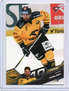 SportZoo ELH 2025-2026 I.série Base # 160 Koblasa Petr - Litvínov