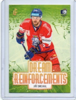 LC Expectations 2024 Base DREAM Reinforcements # DR-19 Smejkal Jiří