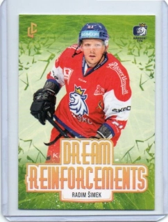 LC Expectations 2024 Base DREAM Reinforcements # DR-21 Šimek Radim