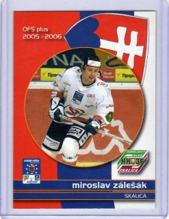 OFS 2005-2006 UTKÁNÍ HVĚZD # CS39 Zálešák Miroslav - SK