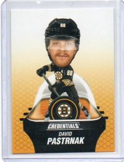 Pastrňák David - Boston - UD Credentials 2024-2025 # č.100
