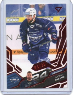SportZoo ELH 2025-2026 II.série RED x/25 # 255 Gulaši Michal - Brno