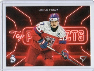 SportZoo Hokejové Česko 2026 TOP PROSPECTS Base # TP-05 Fibigr Jakub