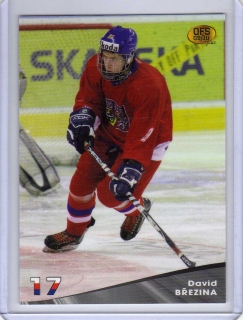 OFS 2009-2010 # U17/03 Březina David - Reprezentace ČR 17