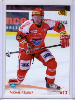 OFS 2010-2011 č.12 Pšůrný Michal - Č.Budějovice