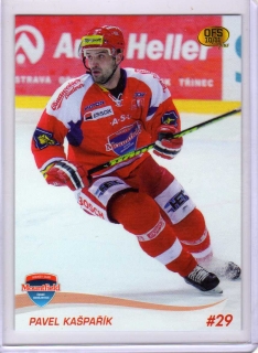 OFS 2010-2011 č.14 Kašpařík Pavel - Č.Budějovice