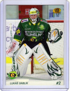 OFS 2010-2011 č.31 Sáblík Lukáš (G) - K.Vary