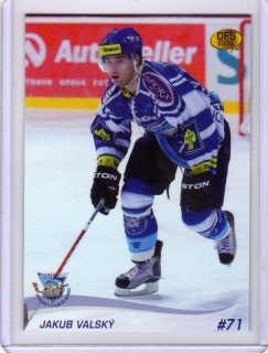 OFS 2010-2011 č.46 Valský Jakub - Kladno