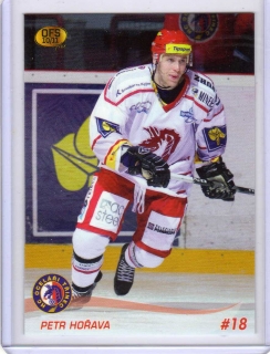 OFS 2010-2011 č.109 Hořava Petr - Třinec
