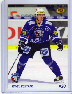 OFS 2010-2011 č.247 Vostřák Pavel - Plzeň