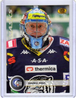 OFS 2010-2011 MASKS # M07 Pinc Marek (G) - Liberec