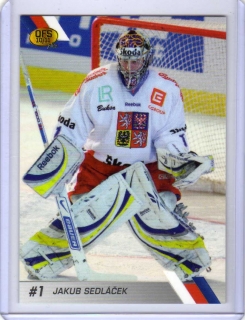 OFS 2010-2011 # CZE/06 Sedláček Jakub (G) - Reprezentace ČR