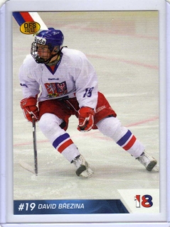 OFS 2010-2011 # U18/03 Březina David - Reprezentace ČR18