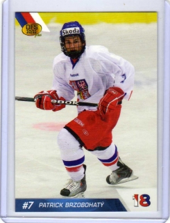 OFS 2010-2011 # U18/22 Brzobohatý Patrick - Reprezentace ČR18