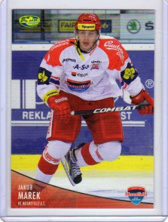 OFS 2012-2013 č.125 Marek Jakub - Č.Budějovice