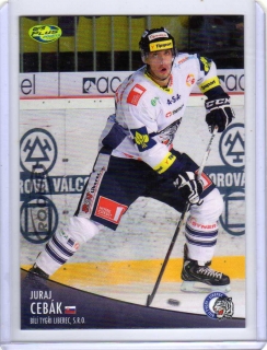 OFS 2012-2013 č.173 Cebák Juraj - Liberec