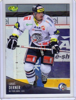 OFS 2012-2013 č.175 Derner Lukáš - Liberec