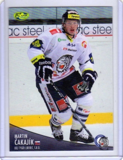 OFS 2012-2013 č.179 Čakajík Martin - Liberec