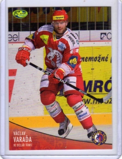 OFS 2012-2013 č.261 Varaďa Václav - Třinec
