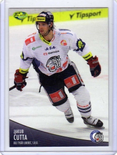 OFS 2012-2013 č.336 Čutta Jakub - Liberec