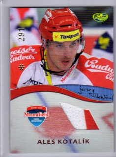 OFS 2012-2013 JERSEY *291 # J23 Kotalík Aleš - Č.Budějovice