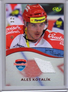 OFS 2012-2013 JERSEY *124 # J23 Kotalík Aleš - Č.Budějovice
