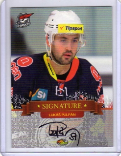 OFS 2013-2014 Signature SILVER 89/99 # SIGN 21 Pulpán Lukáš - Chomutov