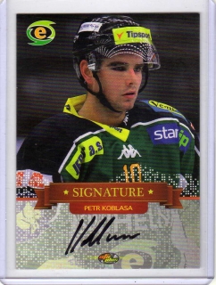 OFS 2013-2014 Signature SILVER 73/99 # SIGN 38 Koblasa Petr - K.Vary